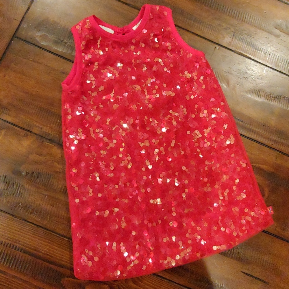 Sparkly Shift Dress